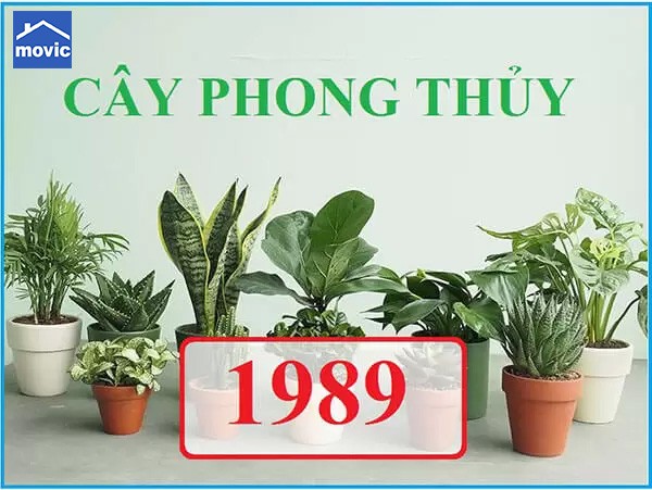 huong nha tuoi ky ty