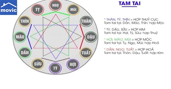 tam tai la gi