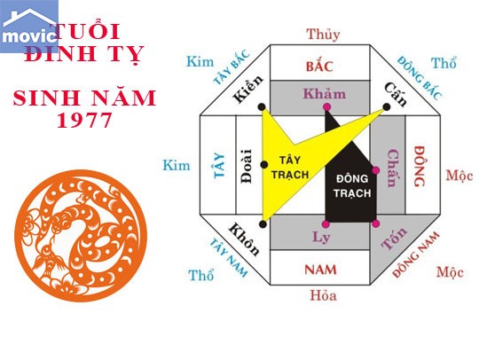 tuoi dinh ty 1977 hop huong nao