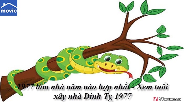 tuoi dinh ty 1977 hop huong nao