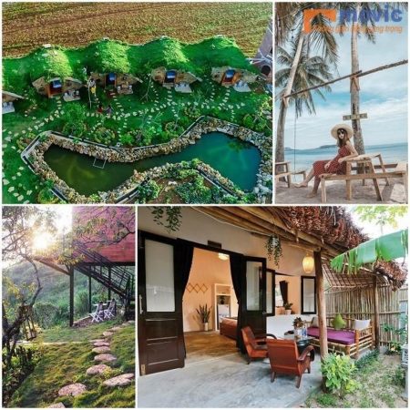 thiet ke homestay